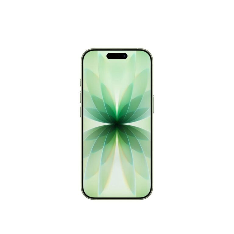 애플 아이폰 17 자급제 256GB, 세이지