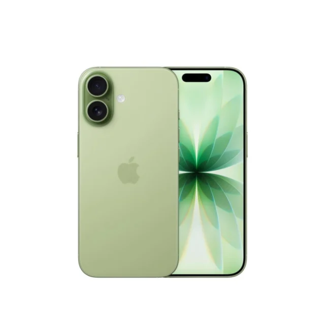 애플 아이폰 17 자급제 512GB, 세이지